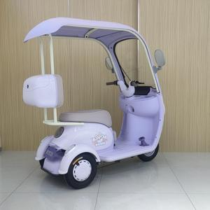 Nieuwe Innovatie 60V Elektrische Driewieler 1000W Vermogen Stalen Mobiliteits <span class=keywords><strong>Scooter</strong></span> Open Carrosserie 3 Wielen voor Passagier EEC DOT Gecertificeerd - Product Image 5