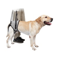 Harnais de soutien arrière réglable pour chien, rembourré et doux, avec laisse, pour chiens âgés, blessés, arthritiques, de grande race