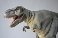 Costume de dinosaure animatronique personnalisé, modèles animatroniques, animatroniques d'Halloween, costume de raptor, costume de T-Rex géant