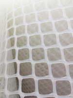 Nouvelle grille/sol en plastique pour volailles/poulets de chair/poules pondeuses/agriculture – Taille personnalisée, longue durée de vie