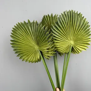 Éventails en feuilles de palmier artificielles pour décoration de <span class=keywords><strong>mariage</strong></span>, plantes artificielles, feuilles de palmier en plastique souple, 19 cm, vente chaude - Product Image 4