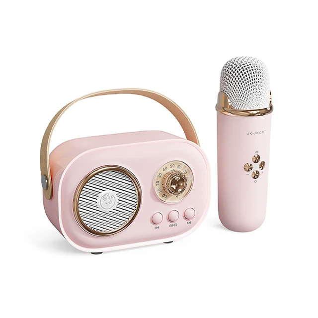 C20 Plus Portable Mini Music Player Radio FM Small Outdoor Home Girls Wireless Karaoke Speaker for Children Gift With Microphone