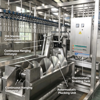 Ligne d'abattage de volailles mobile compacte, ensemble complet, machines de traitement modulaires pour poulet, canard, oie