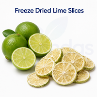 China Gezonde Fruitthee Ingrediënt Hoog in Vitamine C Gedroogde Groene Citroen Vruchten Vriesgedroogde Lime Slices
