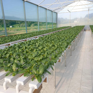 Kit completo de tienda de cultivo hidropónico, <span class=keywords><strong>para</strong></span> tubo de PVC fresa, sistema hidropónico - Product Image 4