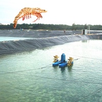 Réservoirs d'élevage de crevettes en géomembrane HDPE / Réservoirs de poissons en biofloc