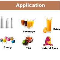 Ingrédient alimentaire en poudre Extrait de légumes déshydratés en poudre Matière première cosmétique Poudre de gingembre