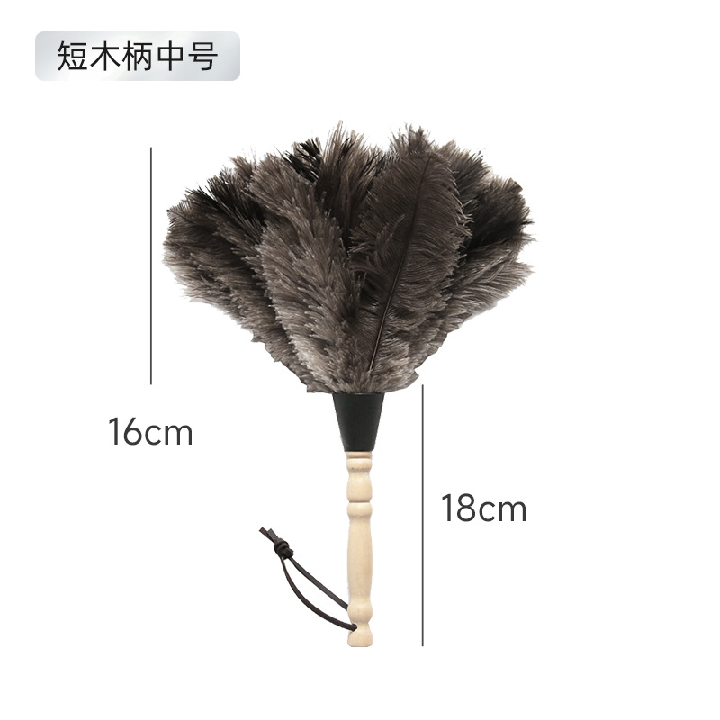 Short wooden handle medium ostrich feather duster