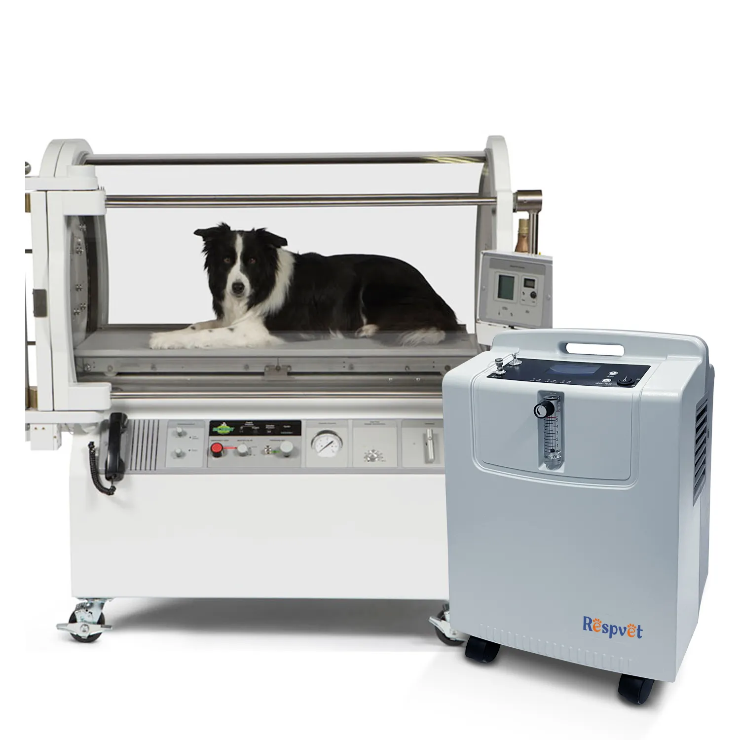 El eficiente concentrador de oxígeno animal de 5L, la experiencia de respiración cómoda para mascotas pequeñas, se puede equipar con una máquina de anestesia