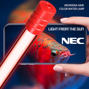 ไฟฟอกหนังสำหรับ <span class=keywords><strong>Arowana</strong></span> สามสีหลัก2700K 6700K 13000K 16000K สีแดงทอง T5 - Product Image 1