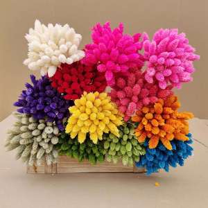 Hierba de gemas reales para arreglos florales y bodas/Fabricación de ramos de flores secas <span class=keywords><strong>Phalaris</strong></span> para decoraciones del hogar y de Graduación - Product Image 5