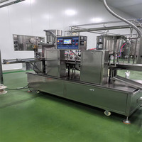 Machine de remplissage automatique de liquides et de pâtes pour boissons, sauces, shampoings et tous types de fluides – Équipement de remplissage de bouteilles