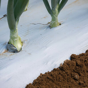 Hot bán tùy chỉnh kích thước màu đen và trắng hai mặt màu nông nghiệp nhựa <span class=keywords><strong>mulch</strong></span> phim <span class=keywords><strong>mulch</strong></span> cuộn phim <span class=keywords><strong>mulch</strong></span> - Product Image 2