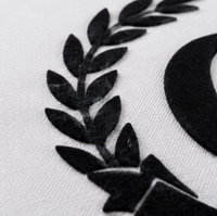 Étiquettes thermocollantes personnalisées avec logo en lettres pour vêtements, étiquettes en film PET floqué avec impression offset pour t-shirts et sweats à capuche