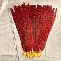 Plumes de faisan Lady Amherst teintées de haute qualité, plusieurs tailles, colorées, pour déguisements, fêtes, décorations de mariage