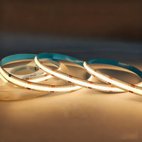 Bande lumineuse LED COB 24V 576 LED 8mm/10mm, double température de couleur 2700K+6500K, USB//Wi-Fi, télécommande