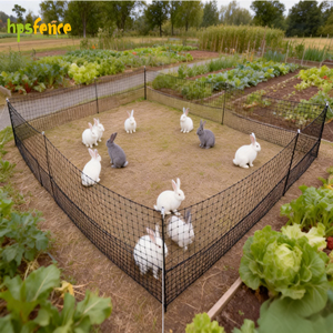 Clôture Électrique en Acier Inoxydable et Plastique Facile à Assembler avec Capuchons Blancs, Étanche et Durable <span class=keywords><strong>pour</strong></span> Installation Rapide, Idéale <span class=keywords><strong>pour</strong></span> Poulets et Lapins - Product Image 1