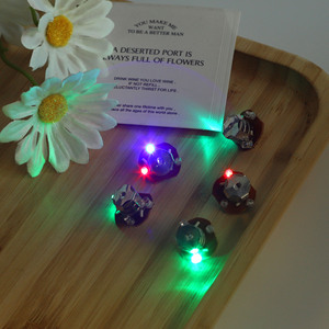 ไฟวงแหวน LED ตกแต่งแบบมินิ DIY สไตล์ยุโรป ลายการ์ตูน พร้อมสามโหมด กดสวิตช์ - Product Image 4