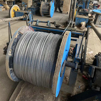 Fil de treillis galvanisé triple tressé en acier pour serre