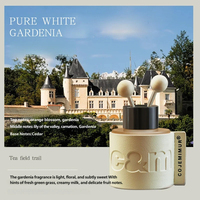 Diffuseur de voiture de luxe, parfum élégant pour voiture avec parfum longue durée, aromathérapie sans flamme, diffuseur d'huiles essentielles