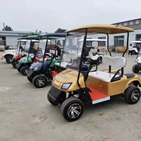 Voiturette de golf 2 places avec rangement Buggy électrique basse vitesse Voiture de golf Road Off Buggy Nouveau modèle Voiturette de golf à batterie au lithium