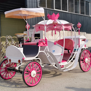 Carruaje Eléctrico de Transporte Especial Tipo Limusina, Vehículo Eléctrico Más Vendido, Carruaje de Calabaza, Carruaje de Caballos - Product Image 1