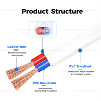 Kabel Tembaga Fleksibel Paralel PVC RVVB Berkualitas Profesional 2 Inti 0.75mm2 4.0mm2 Selubung Luar Putih 300/450v