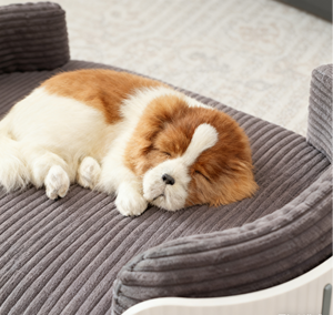 Lit pour chien chat en mousse à mémoire de forme lits pour chien en mousse à mémoire de forme lit pour chien et chat en mousse à mémoire de forme housse lavable amovible antidérapante - Product Image 5