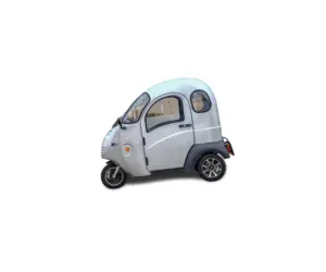 Điện Ba Bánh Bên Xe/Scooter Side Xe/Xe Máy Điện Side Car