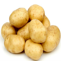 Taze patates pişirme için yüksek kaliteli patates üst sınıf ihracat
