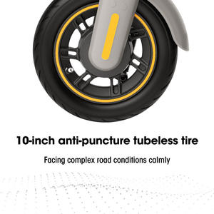 2020 vente en gros <span class=keywords><strong>G30</strong></span> <span class=keywords><strong>Max</strong></span> LP <span class=keywords><strong>KickScooter</strong></span> <span class=keywords><strong>MAX</strong></span> pliant électrique Kick Scooter 25 Miles gamme batterie de charge rapide - Product Image 3