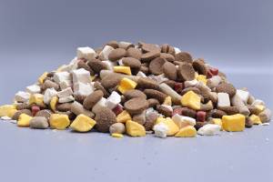 מזון יבש לכלבים, אורגני, עשיר בחלבון, אריזת בתפזורת 10 ק\\\"ג, ייצור לפי הזמנה (OEM/ODM), סיטונאי. - Product Image 5