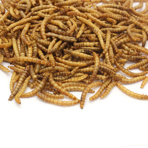 Mealworm อาหารสัตว์เลี้ยงกระป๋อง,อุปกรณ์ OEM กล่องไก่และนกและนกพิราบ & หนอนเม็ดเป็ด - Product Image 3