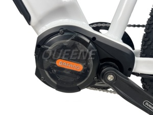 Bicicleta Eléctrica de 48V500W con Batería de Litio de 20AH en Oferta, para Venta al por Mayor - Product Image 4