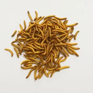 Minhocas secas seca microondas secas mealworms para galinha - Product Image 1