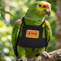 Harnais de marche et de vol pour oiseaux, solide et mignon, pour petit perroquet, perruche, caturra, et autres oiseaux de compagnie
