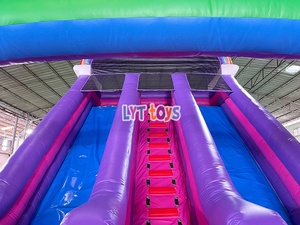 Château gonflable commercial avec toboggan, prix usine, idéal pour la <span class=keywords><strong>location</strong></span> de fêtes d'enfants - Product Image 2