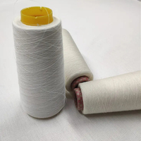 Wholesale 100% 60Nm Hemp Yarn for Weaving and Knitting Hemp Yarn