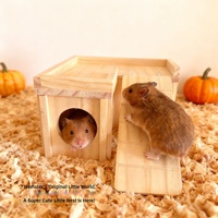 Tunnel-labyrinthe en bois massif pour hamster avec plateforme et rampe, décor de cage ventilé et amovible, vente en gros