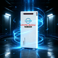 Batterie de stockage d'énergie domestique 10 kWh LiFePO4 murale, alimentation de secours pour système solaire, protection contre les pannes de courant