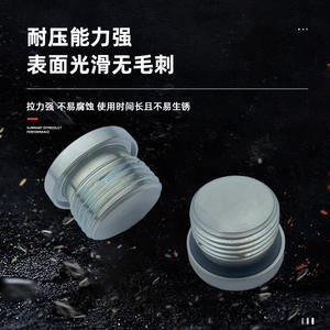 Embouts de câble en acier au carbone galvanisé standard britannique, bord à bride, filetage, forte étanchéité, anti-oxydation - Product Image 4