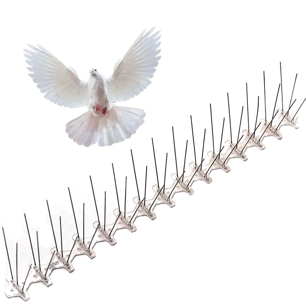 edelstahl-dorn anti-tauben-spikes vogel-abreizend abschreckend anti-vogel-spikes