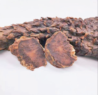 Tranches de Cistanche Rou Cong Rong Séchées, Produits Herbacés Chinois Bruts, Herbe de Cistanche en Tranches de Haute Qualité, Épice pour la Fertilité Masculine et la Santé des Reins