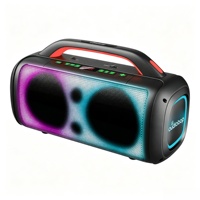 Enceinte portable Bluetooth avec éclairage LED RGB, système audio, haut-parleur, microphone sans fil, télécommande, enceinte stéréo pour fêtes en plein air