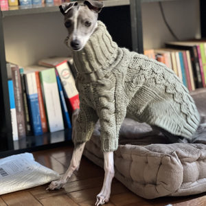 Suéter de Invierno para Mascotas, Cuello Alto, Algodón de Alta Gama, Color Verde Grisáceo, Tejido Grueso <span class=keywords><strong>con</strong></span> Líneas Trenzadas, para Perros Italian Greyhound y Whippet - Product Image 2