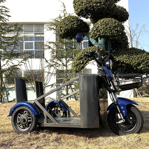 Triciclo Eléctrico de Movilidad Personalizado de Fábrica para Personas con Discapacidad, Diseño de 3 Ruedas con Potente Batería de Litio para un Viaje Seguro - Product Image 6