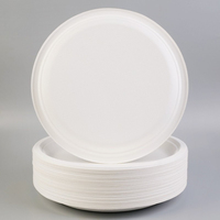 Assiettes en papier jetables biodégradables réutilisables, blanches, résistantes, grande taille, pour barbecue, fête, service de gâteaux, biscuits, 30 cm