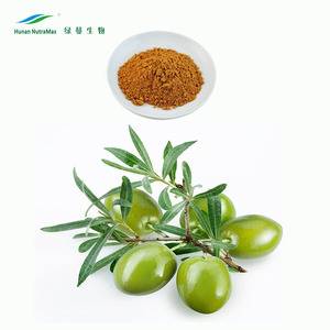 10% 20% 30% Olive Leaf extract viên nang Olive hạt giống bột oleuropein bột - Product Image 2