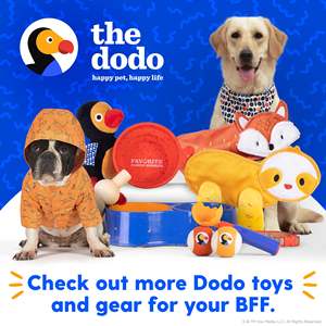 Le harnais pour animaux de compagnie Step-in Style pour chiens, rayé, grand - Product Image 6