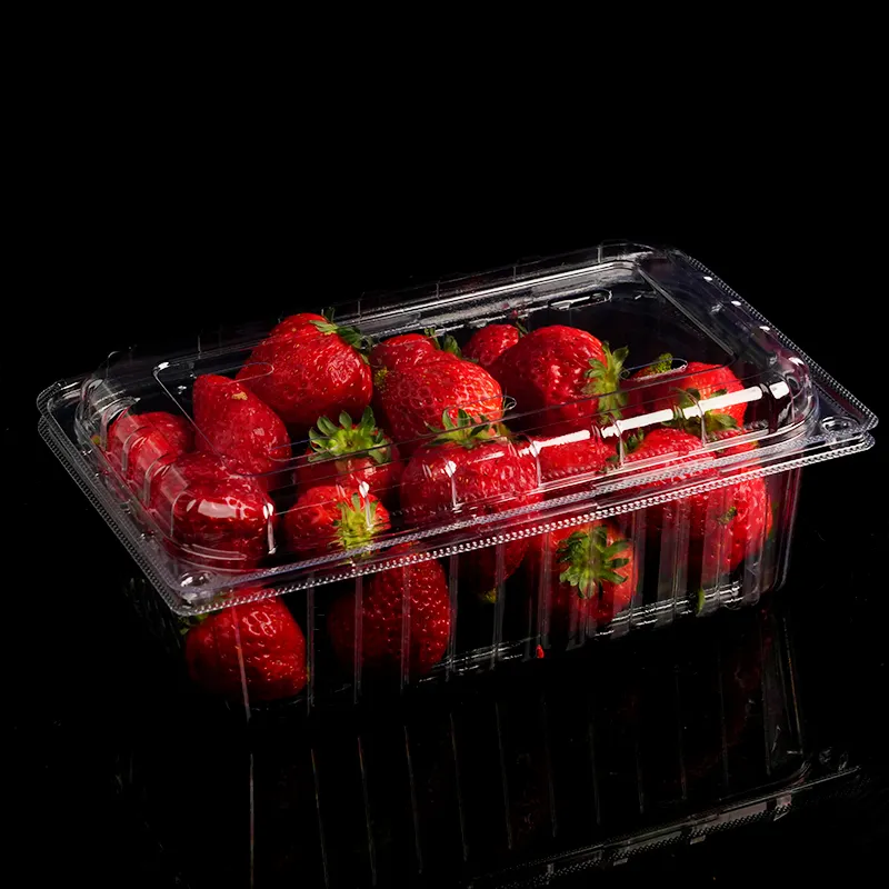 Disposable clear PET rectangle with lid take-out hinged plastic supermarket fruit container